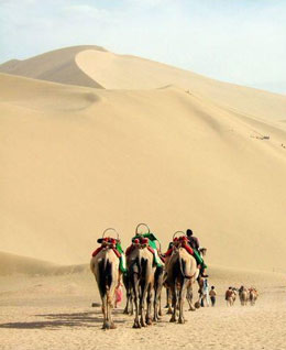 Silk Road Tours