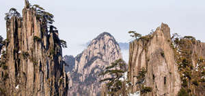 Yellow Mountain Guide