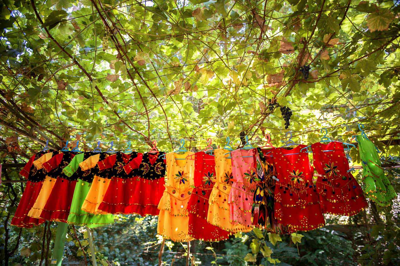 China Silk Road Turpan Grape Valley