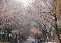 best travel time qingdao