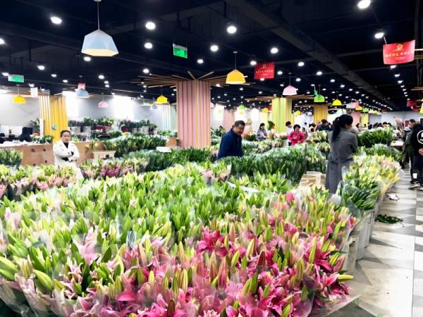 Flower Market in Beijing