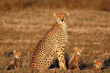 China Tours from South Africa