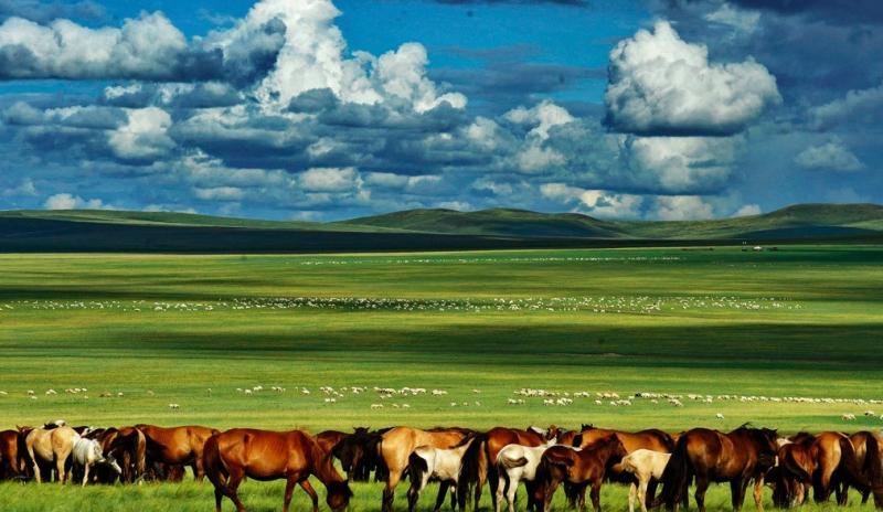 Hulunbuir Grassland Tour