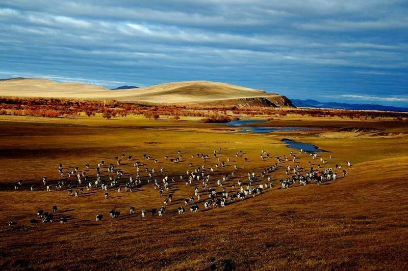 Hulunbuir Prairie in Autumn