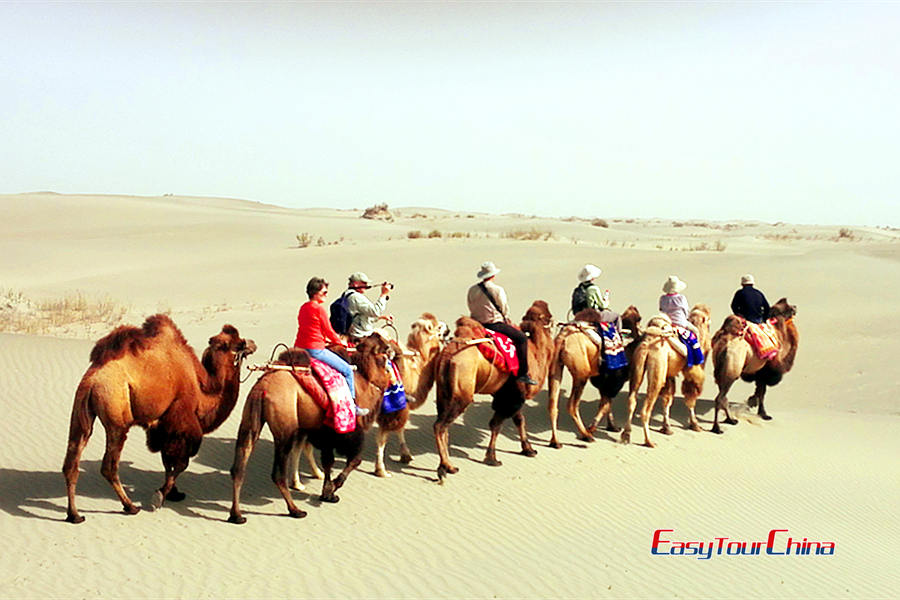 Camel Riding experience in Xinjiang's desert for expat famiies