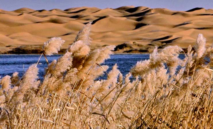 Guangzhou to Silk Road Railway