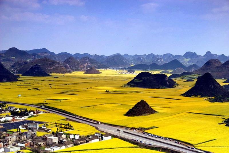 China spring tours for flowers