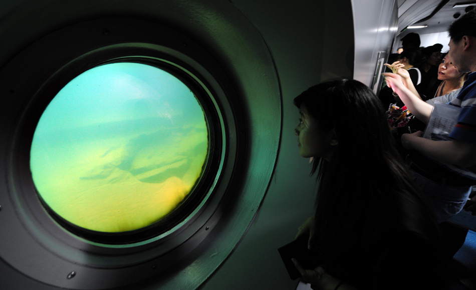 White Crane Ridge Underwater Museum: glass observation windows