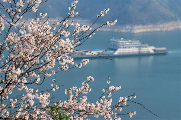 Yangtze River cruise embarkation