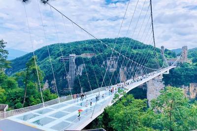 Zhangjiajie Glass Bridge Tour