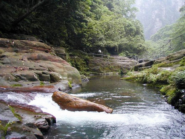 Golden Whip Stream Water